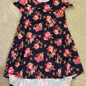 LuLaRoe Carly Dress